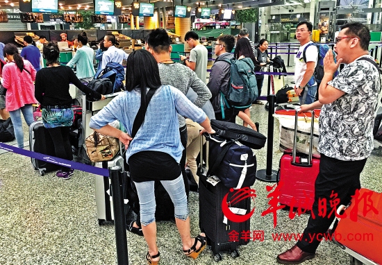 航班准点率数据“打架” 乘客难选延误险