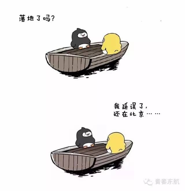 չ˾˵˵ͷ