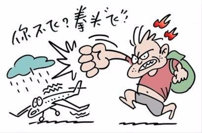 丁学良:请法治和市场来看看722“航班规定”|专业视角