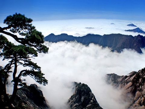 “十一”去哪儿?机票和火车票告诉你哪最热门368173_ “十一”去哪儿?机票和火车票告诉你哪最热门