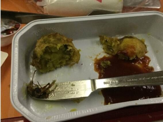 令人作呕!旅客在飞机餐食中吃出蟑螂