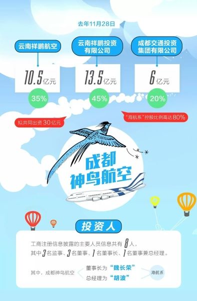 一张图表看穿神鸟航空“五脏六腑”。图片来自:切耍