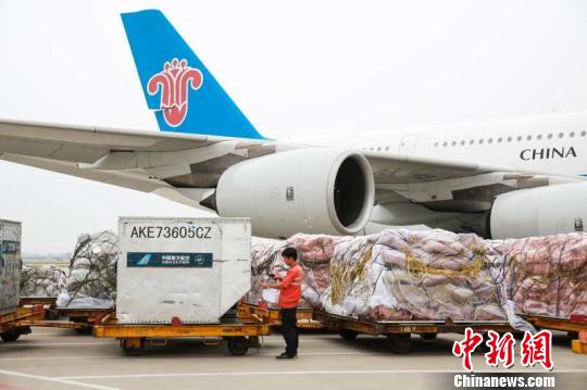 “双十一”来临,南航货运迎来运输高峰,货机基本实现满载飞行 李鹏程 摄 “双十一”来临,南航货运迎来运输高峰,货机基本实现满载飞行 李鹏程 摄