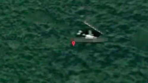 英专家称发现MH370:在柬埔寨密林 机身似有缺口460481_ 英专家称发现MH370:在柬埔寨密林 机身似有缺口