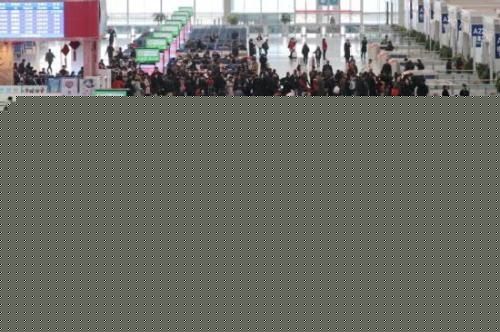 2019年春运旅客将达29.9亿人次 官方将严惩车闹475359_ 2019年春运旅客将达29.9亿人次 官方将严惩车闹