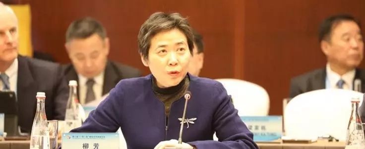 柳芳:加强“一带一路”沿线国家互联互通492611_ 柳芳:加强“一带一路”沿线国家互联互通