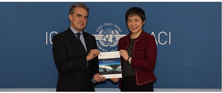 ICAO与IATA发布新指南 协助预防和管理任性乘客496343_ ICAO与IATA发布新指南 协助预防和管理任性乘客