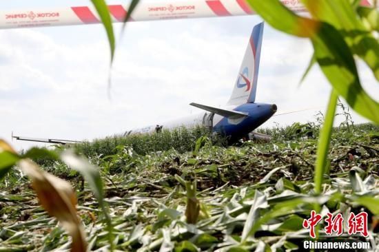 俄罗斯迫降玉米地的客机准备进行拆卸工作503703_ 俄罗斯迫降玉米地的客机准备进行拆卸工作