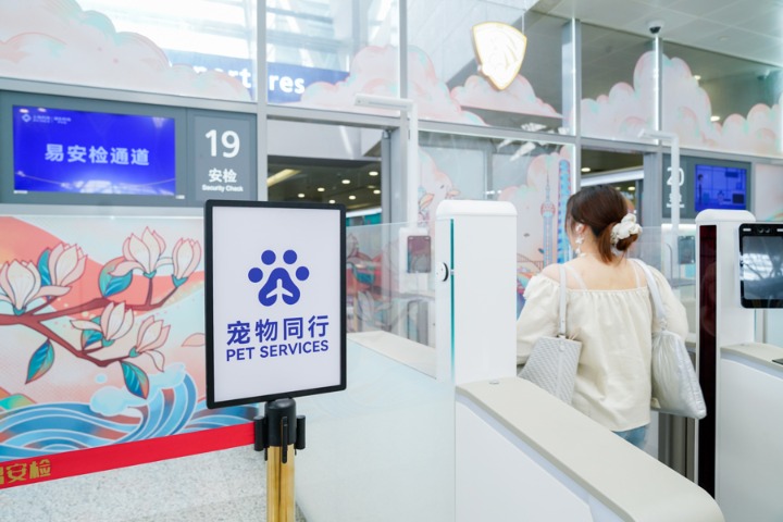 浦东机场将开辟专属宠物同行通道。